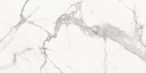 LIMITED TIME SALE - FREE SHIPPING - Calacatta HD 24x48 Matte Large Rectified Porcelain Tile