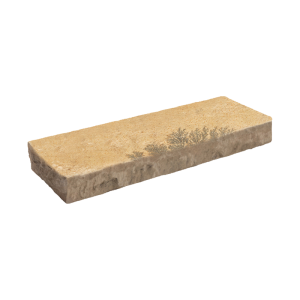 Fossil Rustic 48" X 16" 6" Thick Slab Step