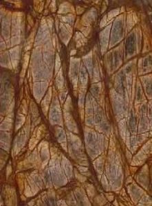 Rain Forest Brown 12X12 Antique