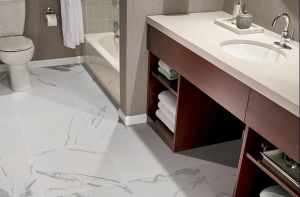 Eden Statuary 24x48 Polished Porcelain Tile