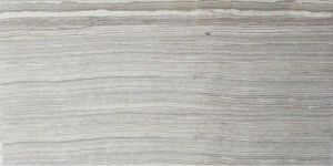 Eramosa Silver 12X24 Matte