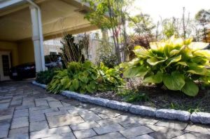 Ice Gray Granite 4"x8"x4"(EXTRA THICK) CobbleStone