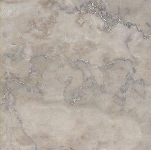 Temple Grey 18X18 Polished