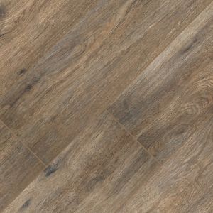 Arterra Fauna Porcelain 8x47 Wood Look Pavers