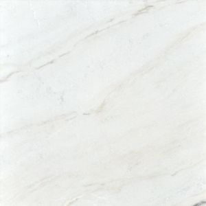 Calacatta Umber 24X24 Honed