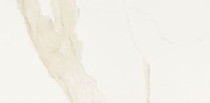 Eden Calacatta 12x24 Polished Porcelain