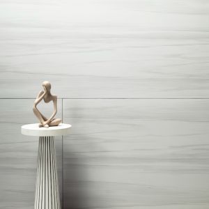 Eden Dolomite 24x48 Porcelain Tile - POLISHED