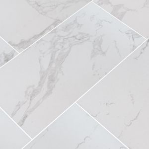 Praia Carrara 24x48 Matte Tile