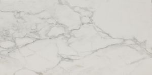 Regallo Calacatta Isla 24x48 Polished Porcelain