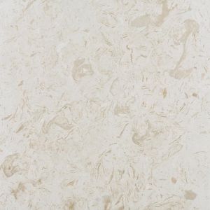 Ocean Reef 24x24 Limestone Honed Tile