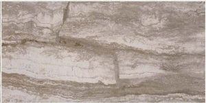 Bernini Camo 12x24 Matte Porcelain