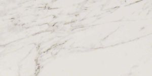 Pietra Carrara 12x24 Polished Porcelain