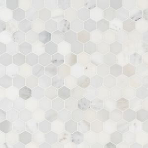 FREE SHIPPING - Arabescato Carrara 2" Hexagon Honed