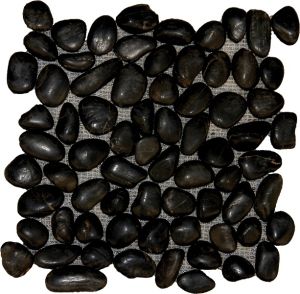 FREE SHIPPING - Black Polished 12X12 Pebble