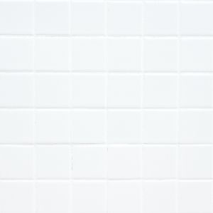 FREE SHIPPING - Domino White 2x2 Porcelain Tile - Polished