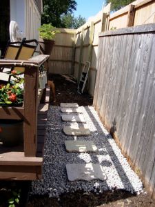 Rustic Canyon Stepping Stone
